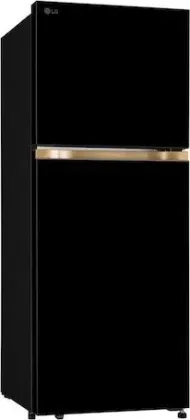 LG T2216WYOB 225 L 1 Star Double Door Refrigerator