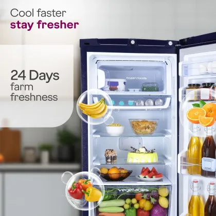 Godrej RD 195DN TAI MN BL 185 L 4 Star Single Door Refrigerator