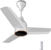 Colorbot Prizma 900 mm 3 Blade BLDC Ceiling Fan