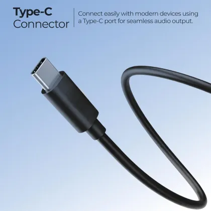Zebronics Buds C12 Type-C Wired Earphones