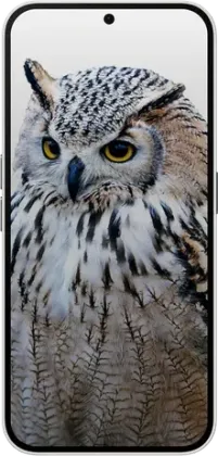 Nothing Phone 3a Plus