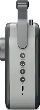 Saregama Carvaan Lite Bengali 10W Bluetooth Speaker