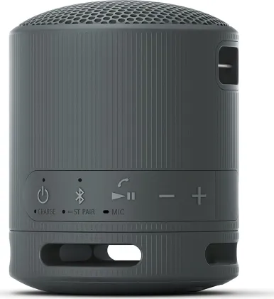 Sony SRS-XB100 Portable Bluetooth Speaker