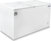 Blue Star CFHDD300MEW 300 L Double Door Deep Freezer
