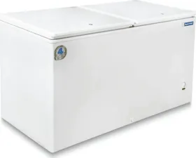 Blue Star CFHDD300MEW 300 L Double Door Deep Freezer
