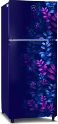 Godrej RT EONALPHA 250B RI AR BL 233 L 2 Star Double Door Refrigerator