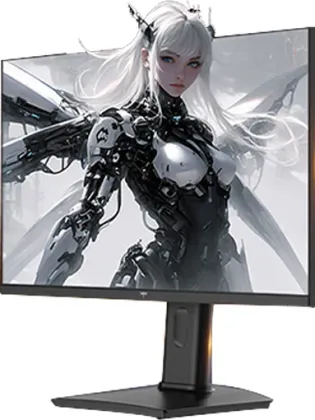KTC H25T7-2 24.5 inch Full HD Monitor