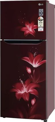 LG GL-N292BRGY 260 L 2 Star Double Door Refrigerator