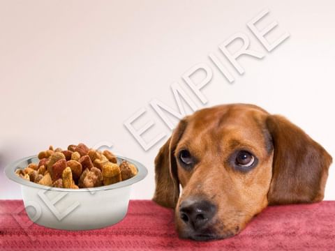 Pets Empire Pet Bowl Stainless Steel Classic Dog Bowl, 450 ml