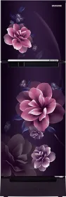 Samsung RT28C3122CR 236 L 2 Star Double Door Refrigerator