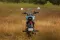 Royal Enfield Meteor 350
