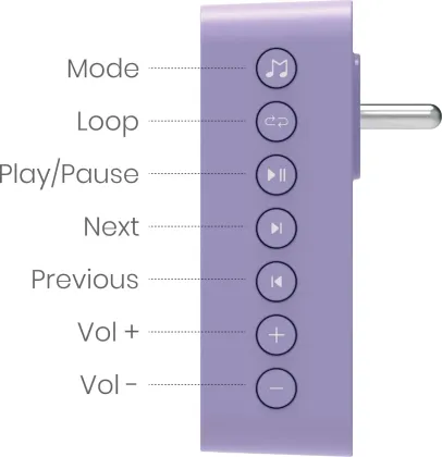 Saregama Carvaan Wellness Plug Play 3W Bluetooth Speaker