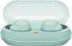 Sony WF-C500 True Wireless Earbuds