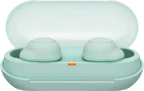 Sony WF-C500 True Wireless Earbuds