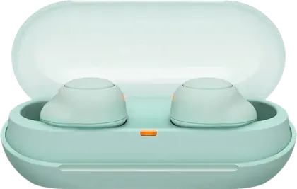 Sony WF-C500 True Wireless Earbuds