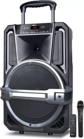 iBELL TY250 50 W Portable Trolley Speaker