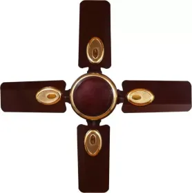 Sameer Jewel 600 mm 4 Blade Ceiling Fan