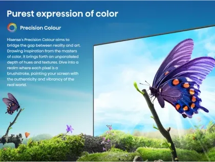 Hisense A65N 55 inch Ultra HD 4K Smart LED TV (55A65N)