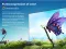 Hisense A65N 55 inch Ultra HD 4K Smart LED TV (55A65N)