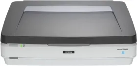 Epson Expression 12000xl Flatbed Scanner