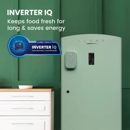 Lloyd GLDF215SA4LC 195 L 5 Star Single Door Refrigerator