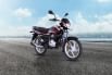 Bajaj Platina 100