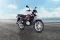 Bajaj Platina 100