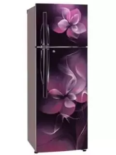 LG GL-T292RPDN 260L 4 Star Double Door Refrigerator