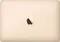 Apple Macbook 12inch MK4N2HN/A Notebook (5th Gen Intel Dual Core/ 8GB/ 512GB SSD/ Mac OS X Yosemite)