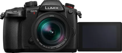 Panasonic Lumix GH5 II Mirrorless Camera (Leica Vario- Elmarit 12-60mm F2.8-4.0 Lens)