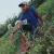 Vijay Kumar