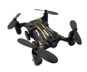 Flytec SBEGO RC Car