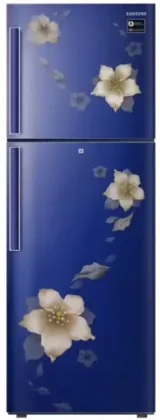 Samsung RT28N3342U2 253L 2-Star Double Door Refrigerator