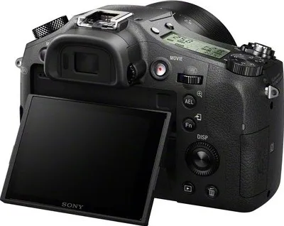 Sony DSC-RX10 Point & Shoot Camera