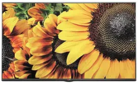 LG 32LF505A 32-inch HD Ready LED TV - image 1