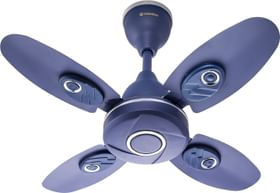 Candes Nexo 600 mm 4 Blade Ceiling Fan