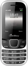 GreenBerry Pixel