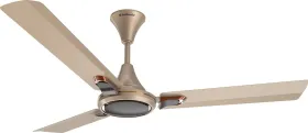 Goldmedal Senora 1200 mm 3 Blade Ceiling Fan