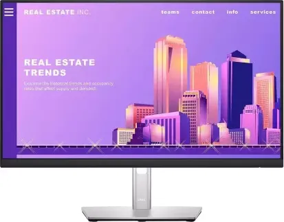 Dell P2422H 24 inch Full HD LED Monitor