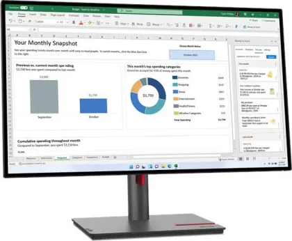 Lenovo ThinkVision P27q-30 27 inch Quad HD Monitor