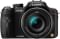 Panasonic Lumix DMC-FZ100 Digital Camera