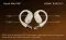 ACwO DwOTS Sense True Wireless Earbuds