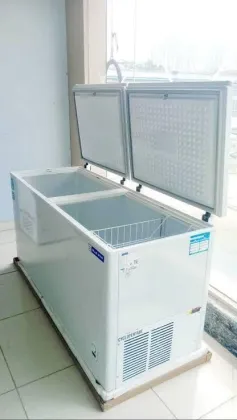 Blue Star CHFD500NEYW 500 L Double Door Deep Freezer