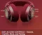 Steelseries Arctis Nova 7 Wireless Gaming Headphones