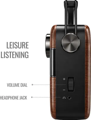 Saregama Carvaan 3.0 20W Bluetooth Speaker