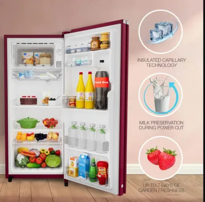 Whirlpool 215 IMPRO GD PRM 5S INV 192 L 5 Star Single Door Refrigerator