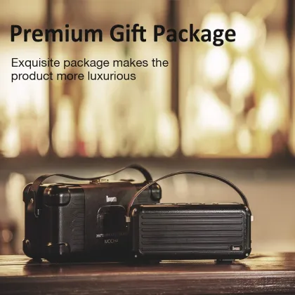Divoom Mocha Retro 40W Bluetooth Speaker