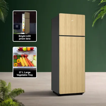 Godrej RT EONVOGUE 280C RI OK WD 244 L 3 Star Double Door Refrigerator