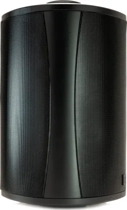 Definitive Technology AW 5500 Outdoor Speaker
