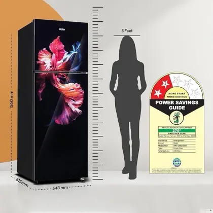 Haier HRF-2902EWG-P 240 L 2 Star Double Door Refrigerator